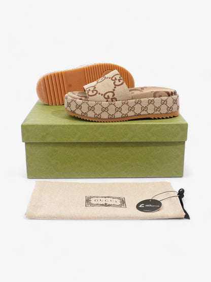 Gucci Angelina Camel And Ebony GG Supreme Canvas EU 38 UK 5