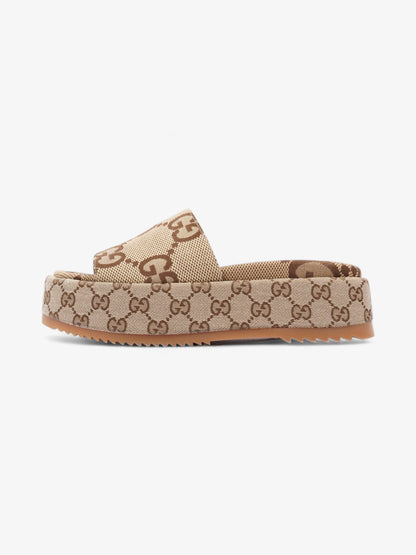 Gucci Angelina Camel And Ebony GG Supreme Canvas EU 38 UK 5