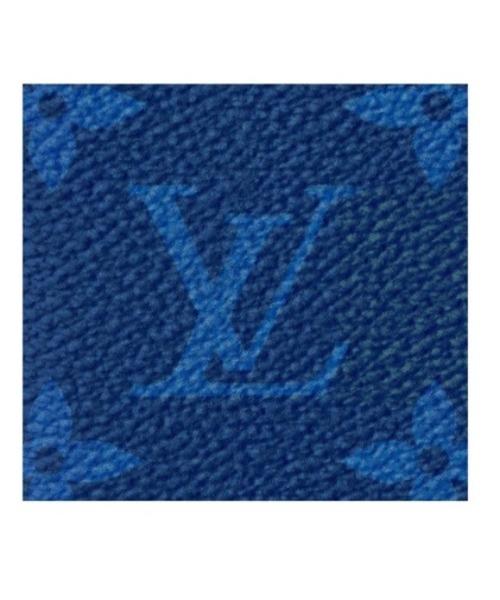 Louis Vuitton Pocket Organiser Taiga Monogram Cobalt
