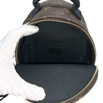 Backpack Luxury Designer By Louis Vuitton  Size: Small