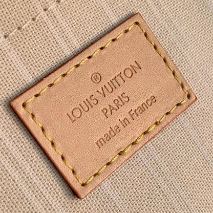 Louis Vuitton Multi Pochette Accessories Bag