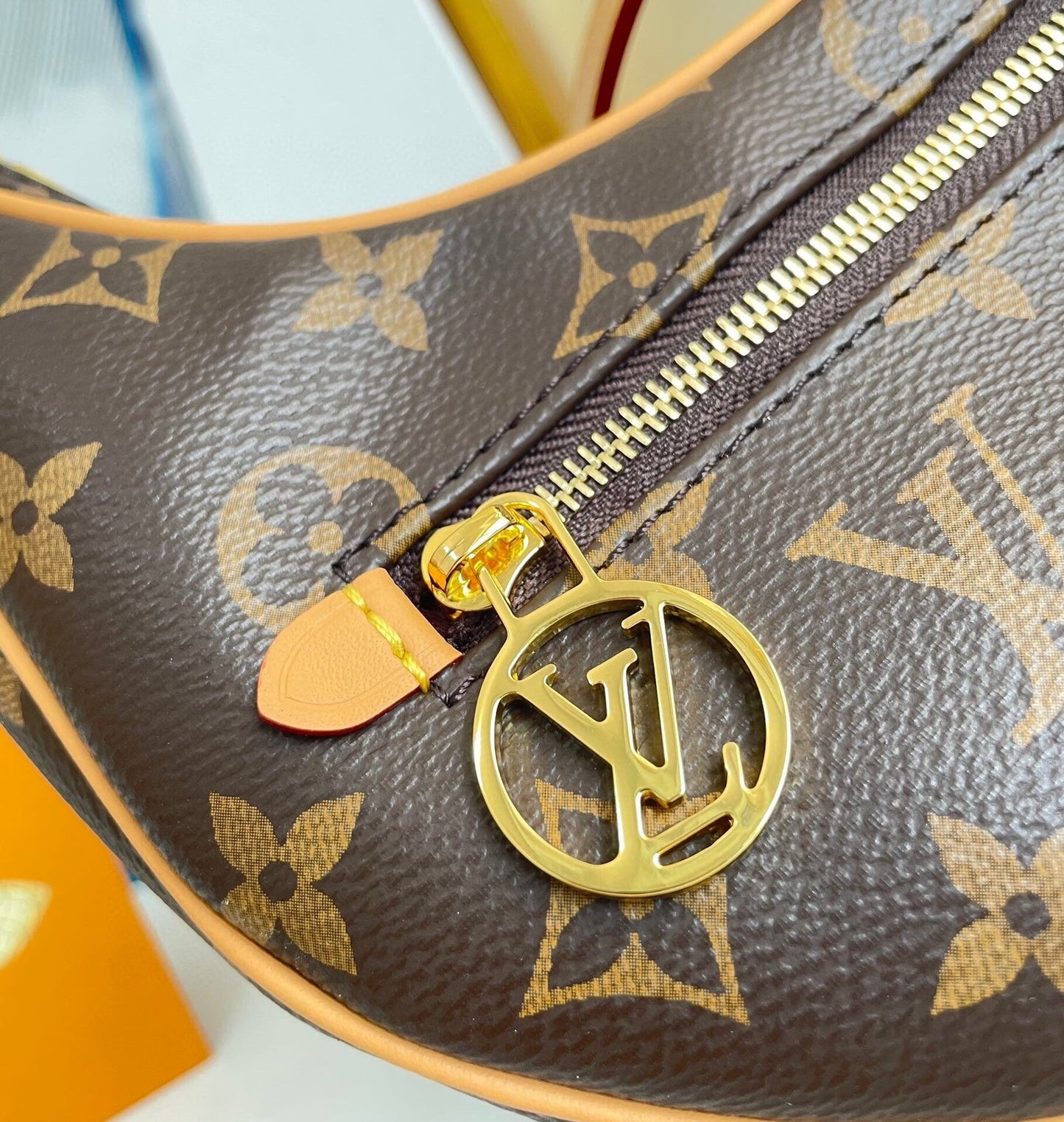 Louis Vuitton Loop Bag