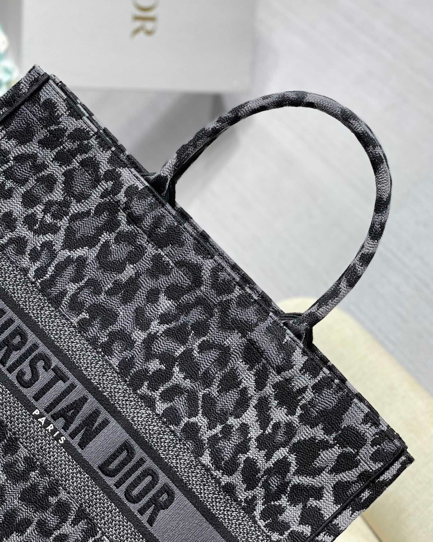 Christian Dior Book Tote Bag