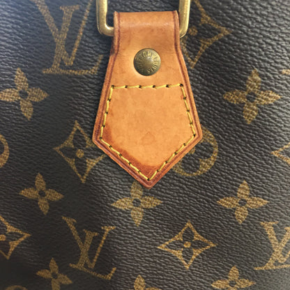 LOUIS VUITTON Alma Handbag in Brown Canvas