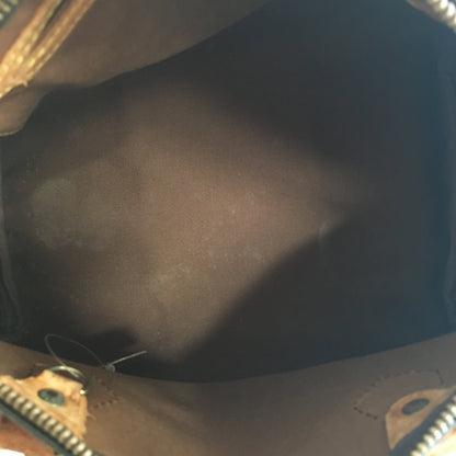 LOUIS VUITTON Speedy Handbag in Brown Canvas