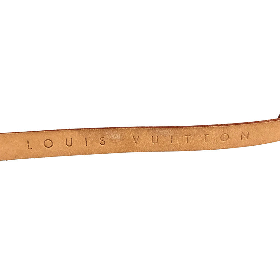 LOUIS VUITTON Monogram Pochette Florentine M51855 Waist pouch