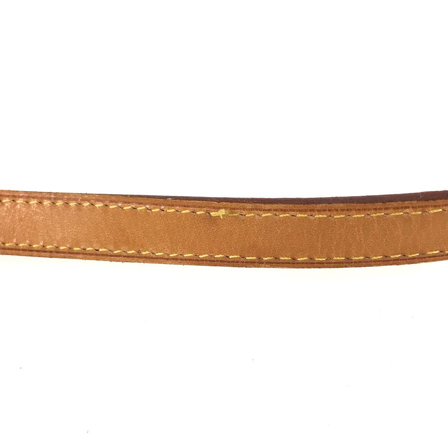 LOUIS VUITTON Monogram Pochette Cite Shoulder Bag
