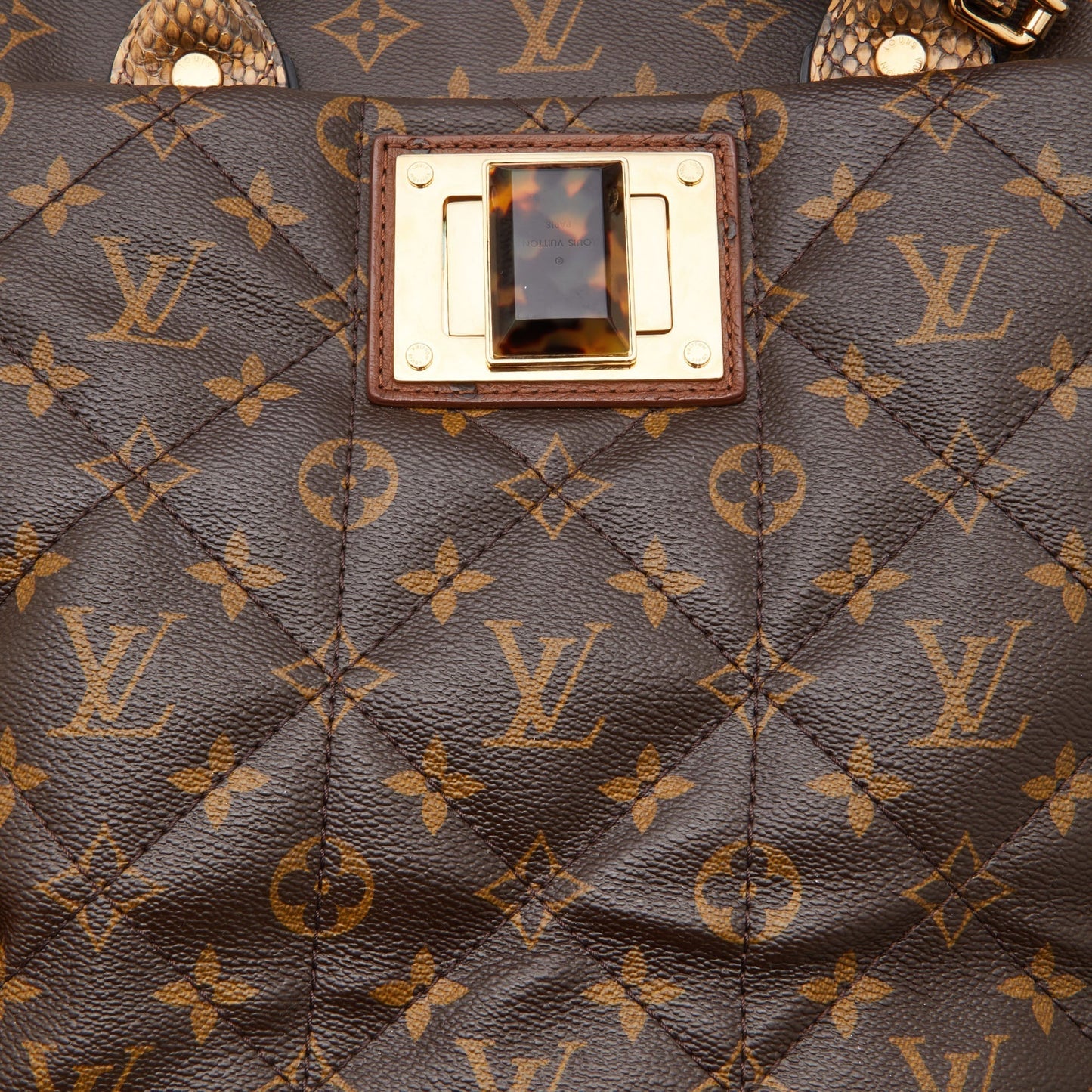 LOUIS VUITTON Monogram Canvas Limited Edition Etoile Exotique GM Bag