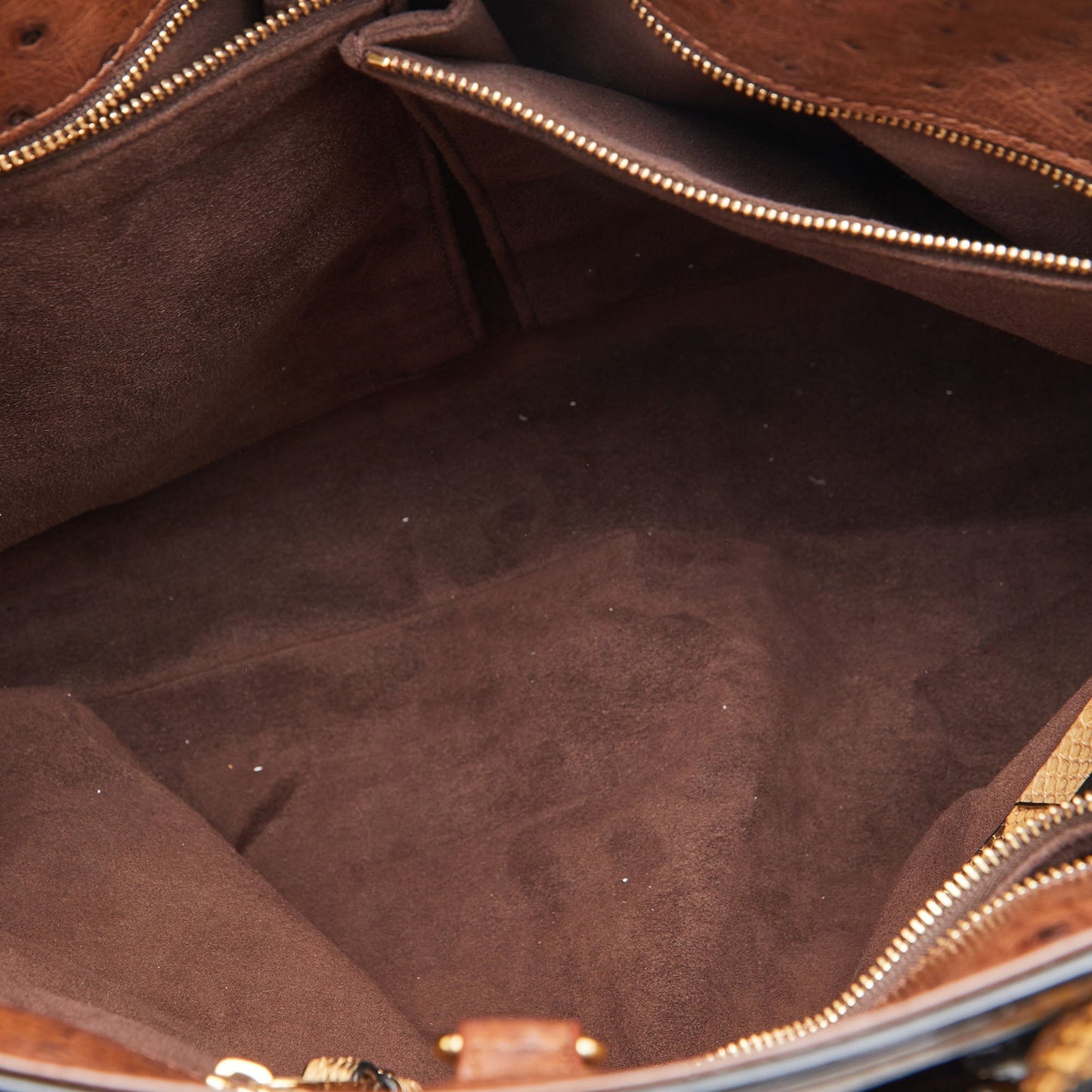 LOUIS VUITTON Monogram Canvas Limited Edition Etoile Exotique GM Bag