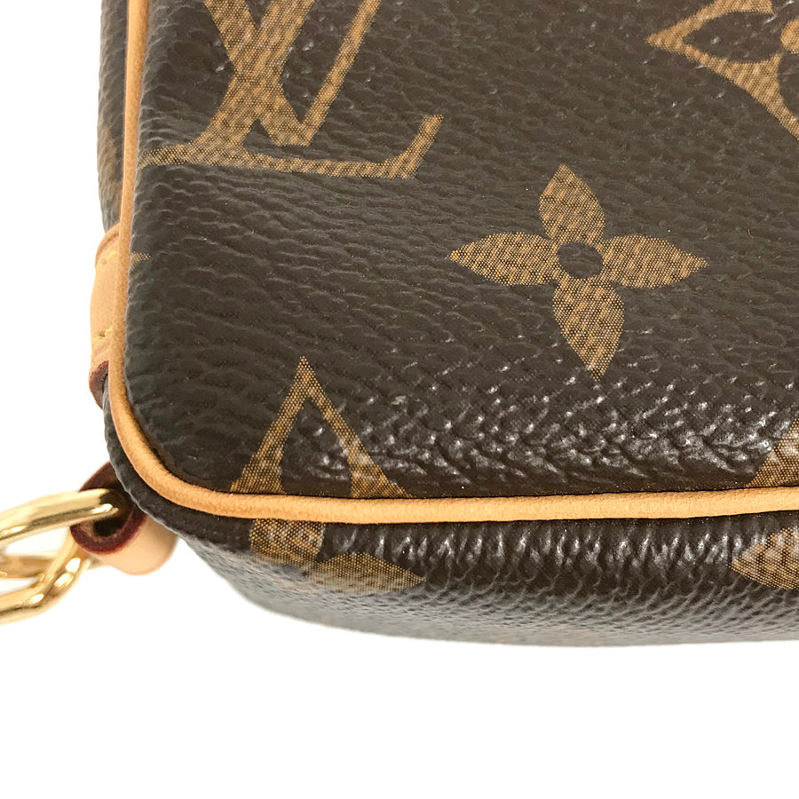 LOUIS VUITTON Pouch
