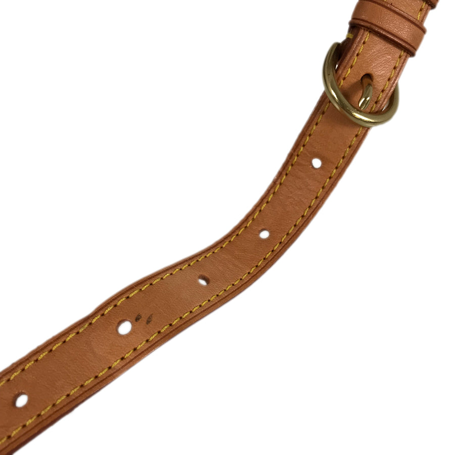 LOUIS VUITTON Monogram Popincourt Ron Shoulder Bag