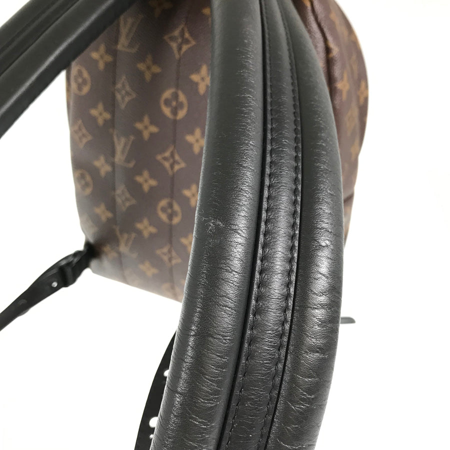 LOUIS VUITTON Monogram Palm Springs Backpack PM M44871 Backpack