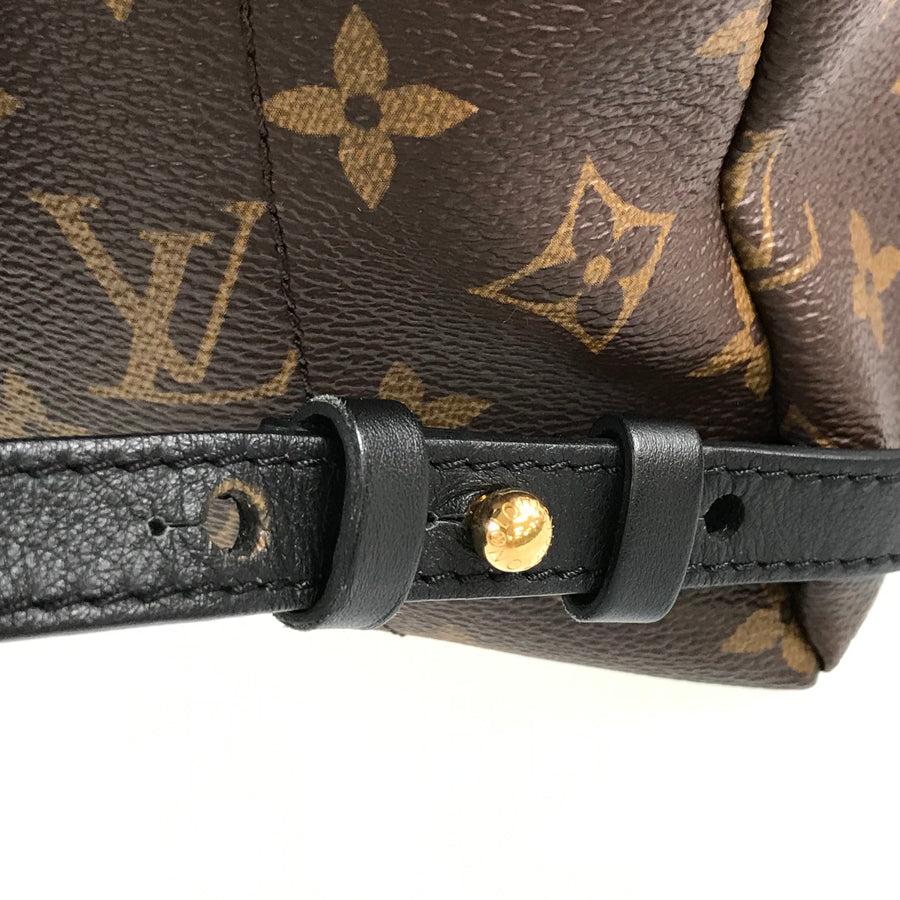 LOUIS VUITTON Monogram Palm Springs Backpack PM M44871 Backpack