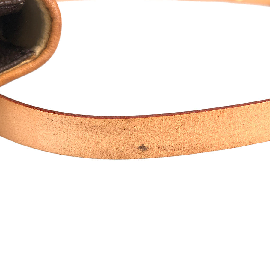 LOUIS VUITTON Monogram Pochette Florentine M51855 Waist pouch