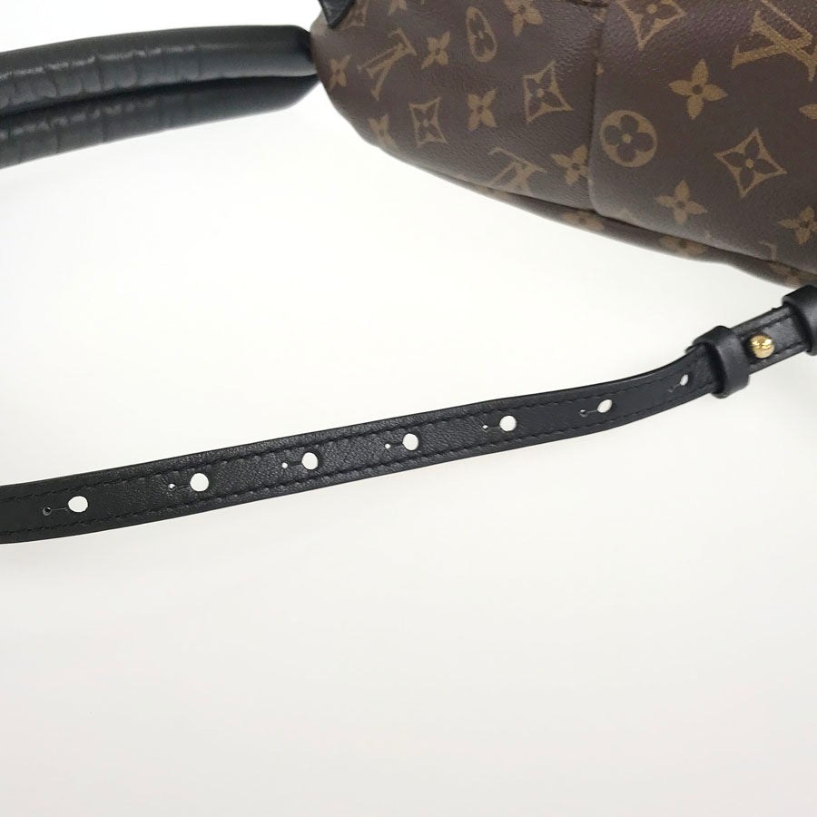 LOUIS VUITTON Monogram Palm Springs Backpack PM M44871 Backpack