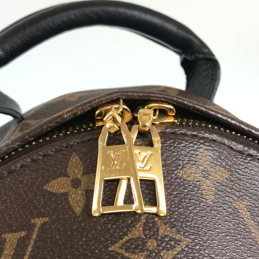 LOUIS VUITTON Monogram Palm Springs Backpack PM M44871 Backpack