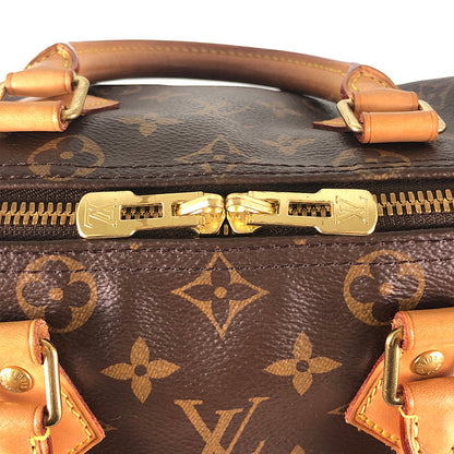 LOUIS VUITTON 2WAY Shoulder Handbag