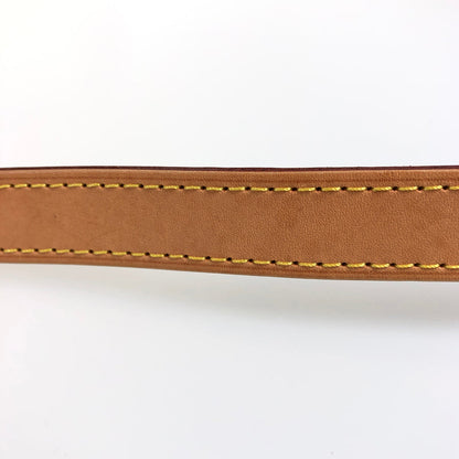 LOUIS VUITTON 2WAY Shoulder Handbag