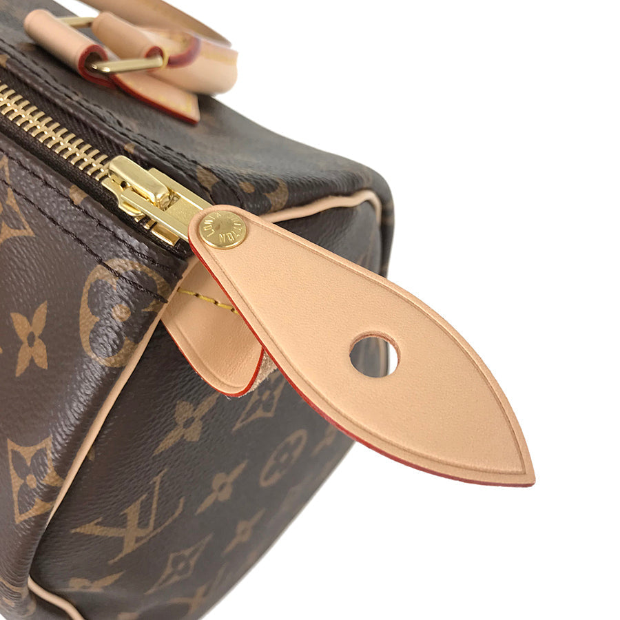 LOUIS VUITTON Monogram Speedy 25 Handbag