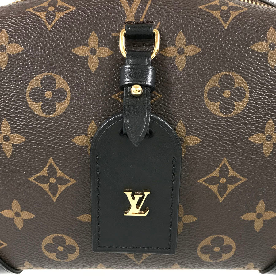 LOUIS VUITTON Monogram Petite Malle Souple 2WAY Shoulder Handbag
