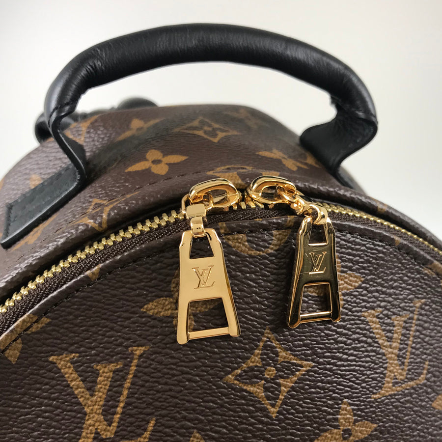 LOUIS VUITTON Monogram Reverse Palm Springs Backpack PM M44870 Backpack