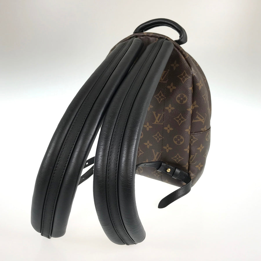 LOUIS VUITTON Monogram Reverse Palm Springs Backpack PM M44870 Backpack