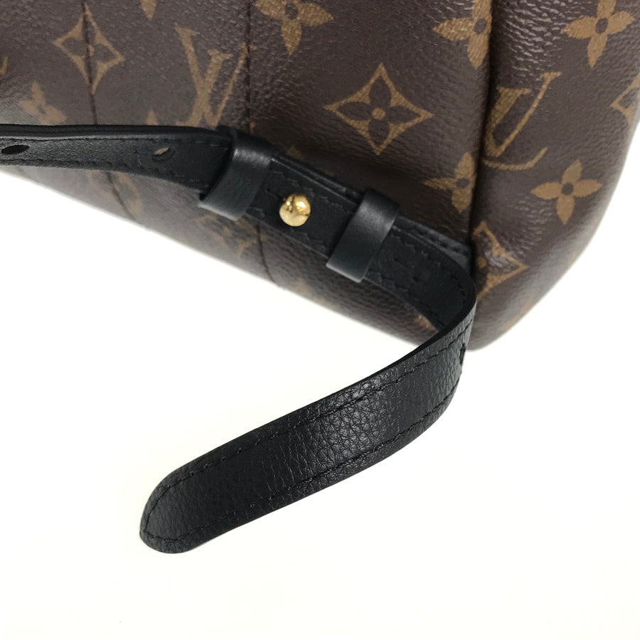 LOUIS VUITTON Monogram Reverse Palm Springs Backpack PM M44870 Backpack