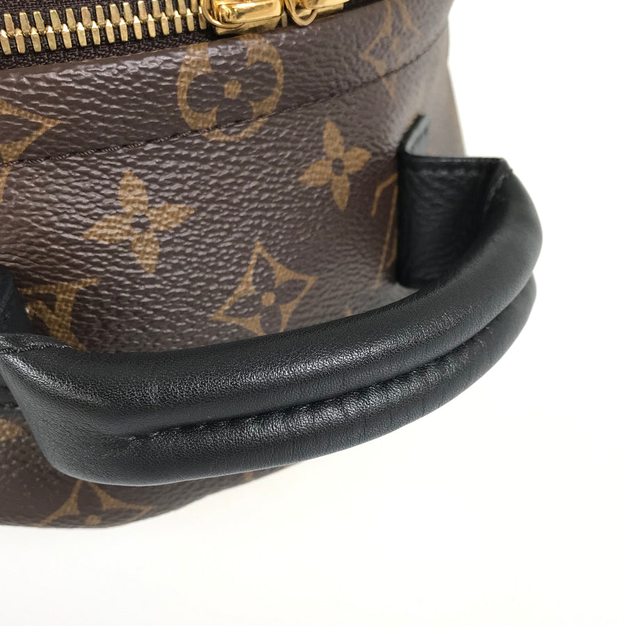 LOUIS VUITTON Monogram Reverse Palm Springs Backpack PM M44870 Backpack