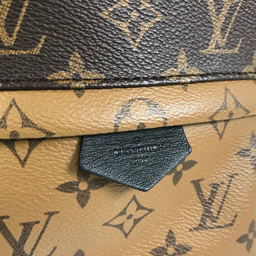 LOUIS VUITTON Monogram Reverse Palm Springs Backpack PM M44870 Backpack