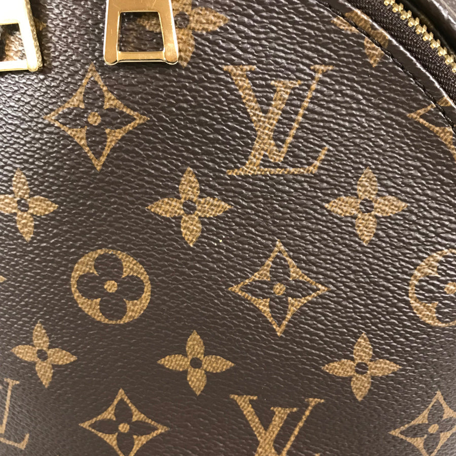 LOUIS VUITTON Monogram Reverse Palm Springs Backpack PM M44870 Backpack