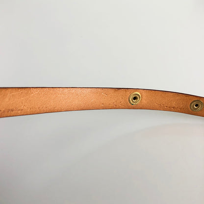 LOUIS VUITTON Monogram Pochette Florentine Waist pouch