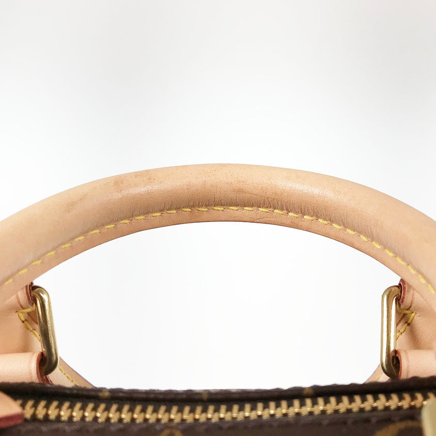LOUIS VUITTON Monogram Speedy 25 Handbag