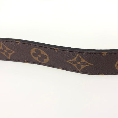 LOUIS VUITTON 2WAY Shoulder Handbag